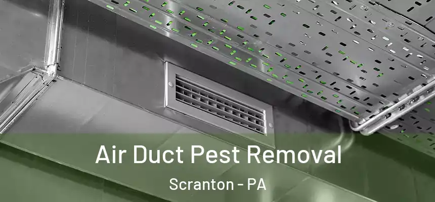  Air Duct Pest Removal Scranton - PA