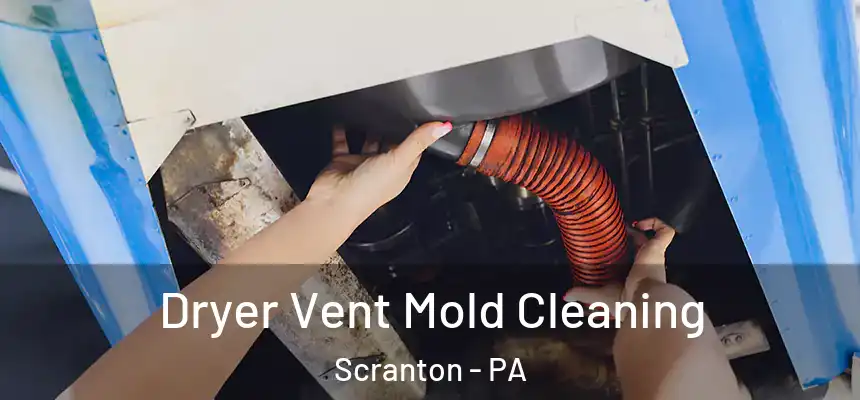  Dryer Vent Mold Cleaning Scranton - PA