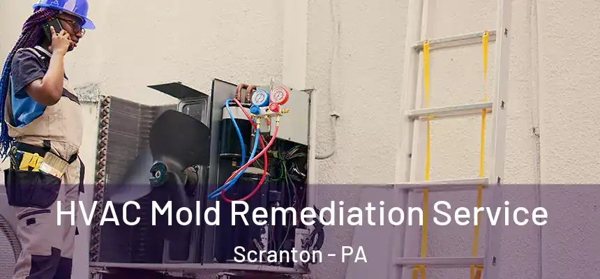  HVAC Mold Remediation Service Scranton - PA