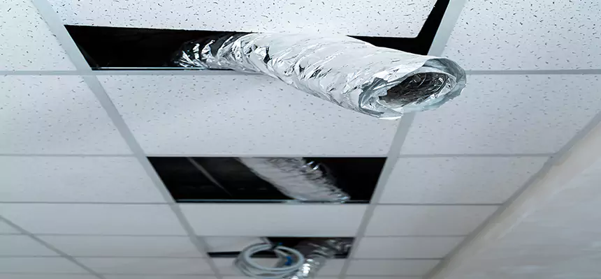 Our Air Duct Pet Hair Removal Services in Scranton, PA