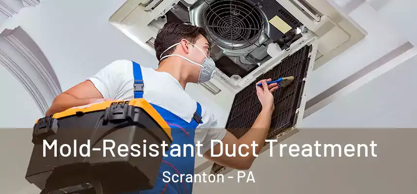  Mold-Resistant Duct Treatment Scranton - PA