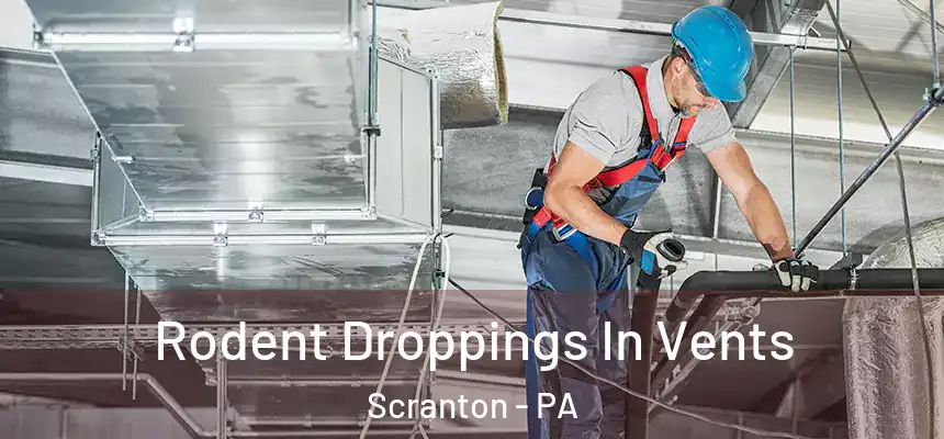  Rodent Droppings In Vents Scranton - PA
