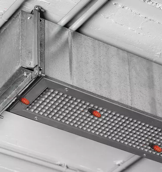 About Air Duct Cockroach Removal in Scranton, PA