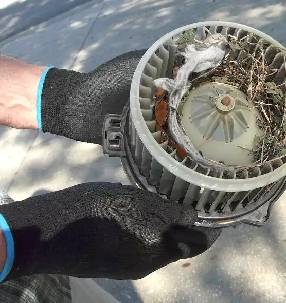 About Air Duct Mice Removal in Scranton, PA