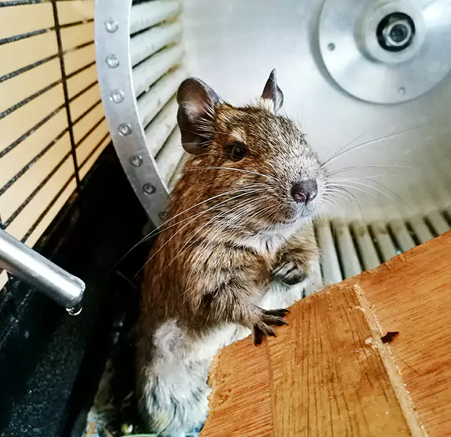 Why Homeowners & Businesses Trust Us Scranton, PA