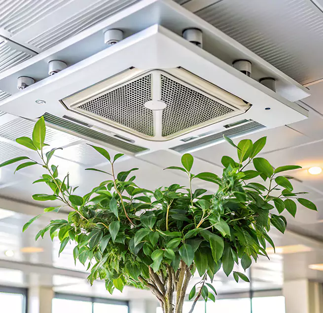 Why Homeowners & Businesses Trust Us in Scranton, PA