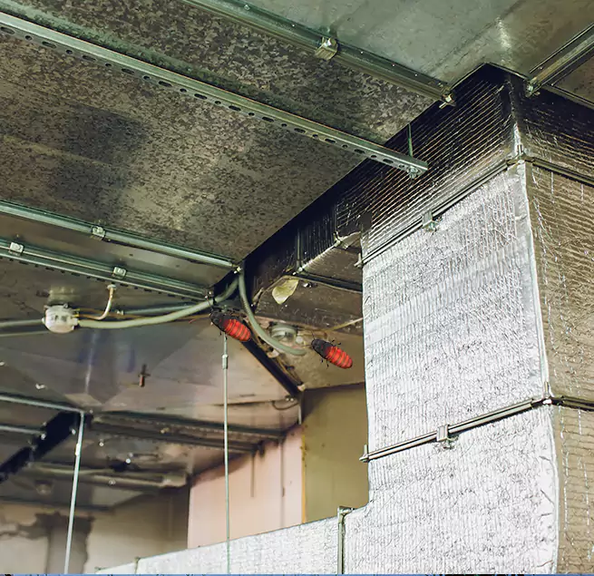 Why Homeowners & Businesses Trust Us Scranton, PA?